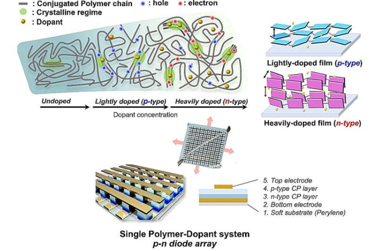 1 / 1(上图)聚合物链的结构转变以及聚合物薄膜中电荷载流子的产生取决于掺杂浓度。(下图)由p型聚合物及其极性反转的n型对应物构成的ap-n二极管示意图,两者均源自同一种材料。