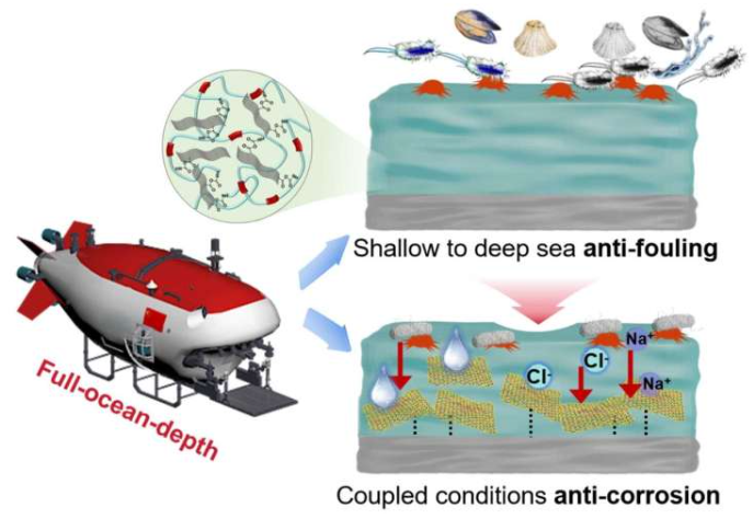 适用于全海洋深度的集成式防污防腐蚀涂层