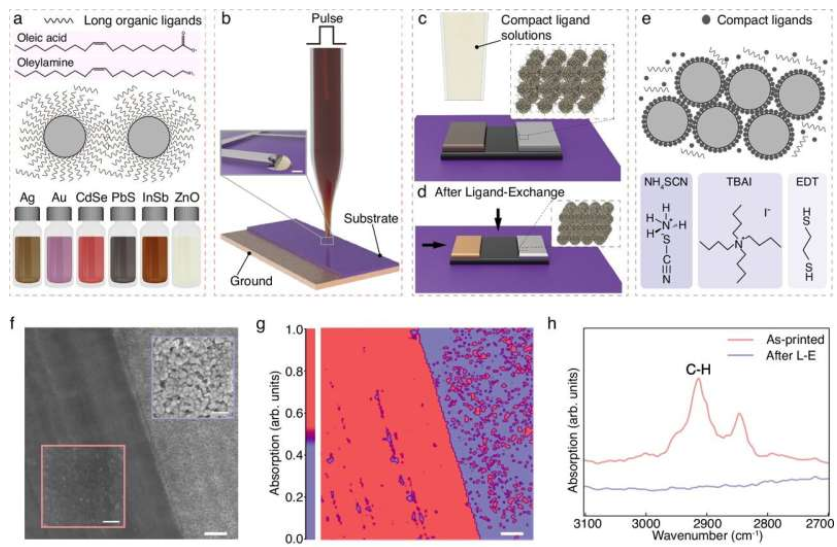 配体交换(LE)辅助纳米打印纳米晶体(NCs)。