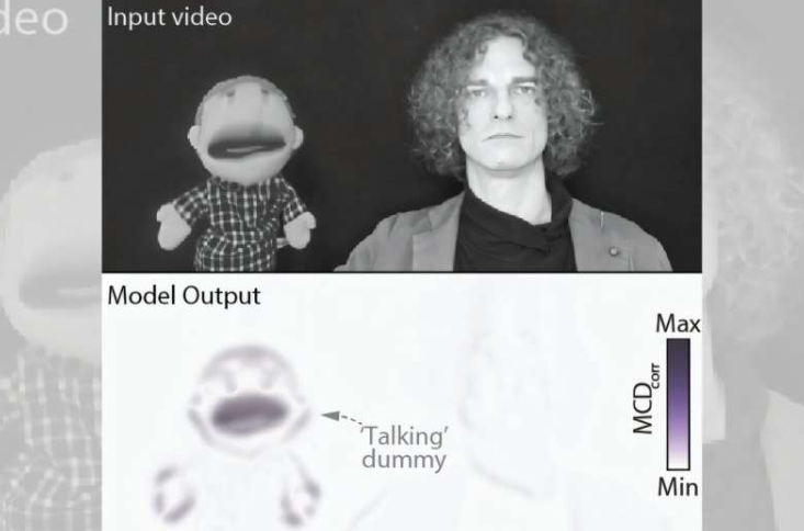 对腹语表演者的反应模型。模型反应围绕着表演者聚集,重现了感知声源定位的错觉性偏移。