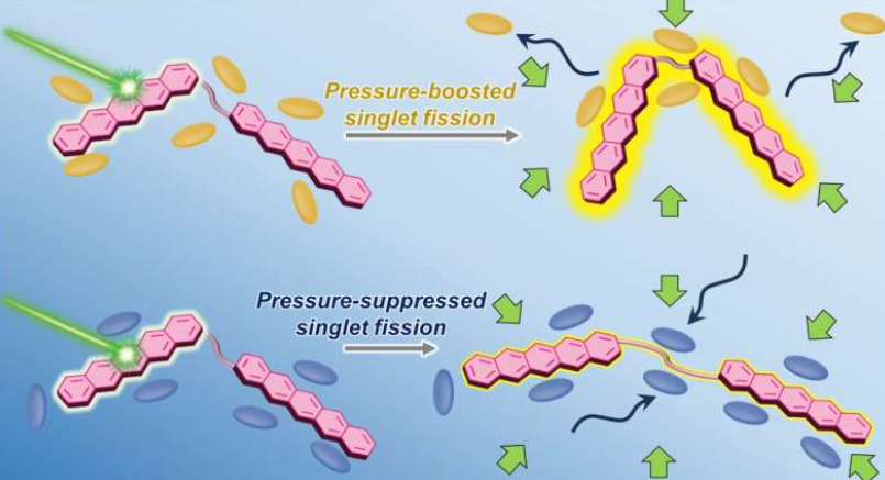 该图展示了通过静水压力对SF光反应过程进行主动控制的方法,而这种控制取决于所用溶剂