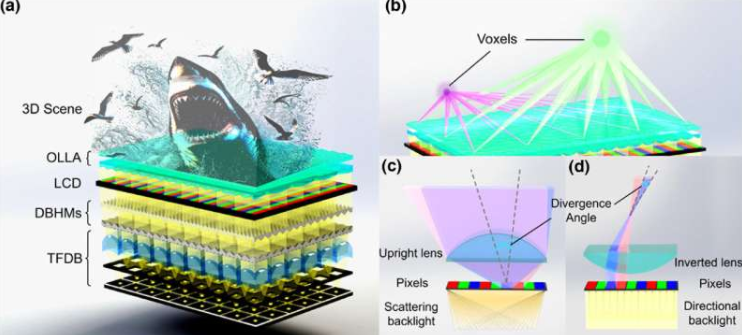 1 / 1本文概述了所提出的微型体素光场显示器。(a) 光场显示系统架构。该3D显示系统由超薄大面积TFDB、双DBHM、LCD面板和OLLA组成。图中展示了鲨鱼跃出海面的3D场景。(b) 体素结构示意图。OLLA将高方向性光束重定向,形成紧凑的体素。(c) 和 (d) 现有基于散射背光的3D显示器与所提出的基于定向背光的3D显示器的比较。