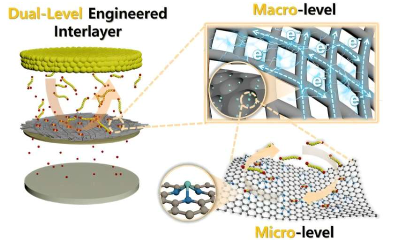 研究人员开发了一种新型多孔碳纳米纤维中间层材料，该材料含有不饱和钴单原子催化剂。