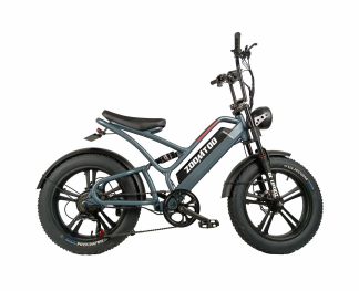 Z1 (Moto Elétrica de Montanha)