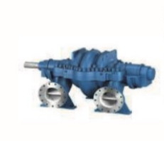 Bomba de proceso DMSD