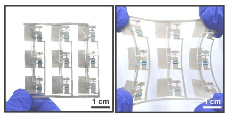 1 / 1余教授团队研制的可拉伸触觉传感皮肤样品照片,左图为拉伸前,右图为拉伸过程中的照片