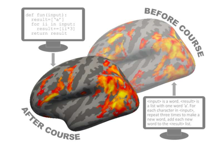 电子邮件  家 计算机科学 2025年10月27日   要点 追踪大学生的神经活动揭示了人脑如何学习编程。 约翰·霍普金斯大学  由萨迪·哈雷 编辑 ，罗伯特·伊根审阅  编者按 大学生们学习编程课程后，在阅读代码时，大脑的某些区域会被激活。令人惊讶的是，在学生们学习编程课程或对编程一无所知之前，当他们阅读用通俗易懂的英语描述的程序时，同样的神经元群也会被激活。图片来源：刘云飞/约翰·霍普金斯大学 计算机编程驱动着现代社会，并推动了人工智能革命，但我们对大脑如何学习这项关键技能却知之甚少。为了解答这个问题，约翰·霍普金斯大学的研究人员研究了大学生在学习编程前后大脑的活动。   学生们上完编程课后，阅读代码时大脑的某些区域会被激活。在这些区域内，一些神经元群代表着代码的含义。令人惊讶的是，在学生们上课之前，甚至在他们对编程一无所知的情况下，当他们阅读用通俗易懂的英语描述的程序时，同样的神经元群也会被激活。  这项发表在《神经科学杂志》上的研究，深入探讨了人类大脑如何以及为什么进行程序设计。  “我们在现代社会所做的许多事情，我们的大脑并没有进化到能够完成这些事情的程度，包括编程、驾驶、阅读和数学，”资深作者、研究大脑可塑性和发育的认知神经科学家玛丽娜·贝德尼说。  “编程课会‘重新利用’你大脑中负责逻辑思维的区域来编写代码。我们发现，当你上大学的时候，你的大脑已经具备了编程的神经基础。”  人工智能工具正使编程变得越来越容易上手。随着越来越多的人接触编程，贝德尼和第一作者、博士后研究员刘云飞着手研究人类大脑在新手学习这项技能时如何适应。  研究团队使用功能磁共振成像（fMRI）来追踪本科生在学习为期一个学期的 Python编程语言入门课程前后的大脑活动。  了解更多 技术会议门票 量子计算资源 Tech Xplore 商品 科技新闻订阅 可持续能源解决方案 橡胶电子套件 机器人工程套件 科学 人工智能开发工具包 工程设计软件 课后学生阅读代码时，大脑中负责逻辑思维的前额顶叶区域的神经元群会解读程序的含义。但即使在课前，当学生阅读对代码程序的英文描述时，同样的神经元也已经激活，解读程序的算法。  “学习编程使用的神经机制与我们用于逻辑问题解决的神经机制相同。每个人都具备这种能力，”刘教授说道，他研究的是大脑如何学习与教育相关的文化技能。  研究结果表明，所有人都具备学习编程的基础——主要是逻辑思维。通过谜题、游戏和日常餐桌辩论来锻炼这些逻辑思维能力，或许能为孩子们未来的编程成功奠定基础。  “不熟悉编程的人可能会觉得Python永远也理解不了，但我们的研究表明，我们每个人都具备编程能力，”贝德尼说。“我们甚至可能天生就具备这种能力。”  更多信息： 学习编程“回收”预先存在的额顶叶皮层逻辑算法编码，《神经科学杂志》(2025)。DOI ：10.1523/JNEUROSCI.0314-25.2025  期刊信息： 《神经科学杂志》  由约翰·霍普金斯大学 提供  进一步探索  这就是你的大脑如何运作：研究人员破译计算机编程的神经机制 Facebook  叽叽喳喳  电子邮件  给编辑的反馈  精选 最后评论 受欢迎的 由可食用气动电池和执行器驱动的软体机器人 11小时前  0  通过改进氯分布，钙钛矿太阳能电池的效率达到27.2%。 14小时前  0  受自然启发的导航系统帮助机器人无需GPS即可穿越复杂环境。 2025年11月14日  0  新型智能面料赋予机器人精细的抓握能力 2025年11月13日  0  绘制人工智能大脑图谱显示，记忆和推理能力并不位于同一区域。 2025年11月11日  0   创新型水下外骨骼提升潜水效率 4小时前  两步闪蒸焦耳加热法可快速、清洁地回收锂离子电池材料。 9小时前  基于等离子体的方法可制备用于金属-空气电池的高效、低成本催化剂。 10小时前  研究显示，双模设计可提高MEMS加速度计的精度。 10小时前  由可食用气动电池和执行器驱动的软体机器人 11小时前  通过改进氯分布，钙钛矿太阳能电池的效率达到27.2%。 14小时前  一种用于设计更优质电池的新定量规则 15小时前  研究人员首次揭示抵御人工智能密码分析攻击的防御机制 15小时前  超强轻质金属复合材料可承受极端高温 2025年11月15日  可以利用来自可再生能源的低品位热能来淡化海水。 2025年11月14日  了解更多 互联网基础设施服务 量子计算资源 先进机器人组件 硬件开发服务 物联网设备 汽车工程咨询 电子的 半导体元件 假肢技术 Science X 网络成员资格 1 2             Phys.org 每日科学新闻，涵盖研究进展和最新科学创新  Medical Xpress 医学研究进展和健康新闻  科学X 网络上最全面的科技新闻报道  新闻简报 电子邮件 Science X Daily 和每周电子邮件新闻简报是免费服务，让您可以通过电子邮件收件箱接收您喜爱的科技新闻更新。 跟着我们 顶部 家 搜索 移动版 帮助 常问问题 关于 接触 请支持我们 科学X账户 通讯 档案 安卓应用 iOS 应用 工作机会 推送通知 © Tech Xplore 2014 - 2025，由Science X Network提供技术支持 隐私政策 使用条款  1 / 1大学生们学习编程课程后，在阅读代码时，大脑的某些区域会被激活。令人惊讶的是，在学生们学习编程课程或对编程一无所知之前，当他们阅读用通俗易懂的英语描述的程序时，同样的神经元群也会被激活。