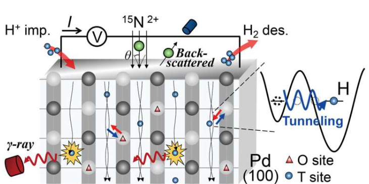 东京大学产业科学研究所的研究人员利用沟道核反应分析技术,探测了低温下钯中氢原子的运动。