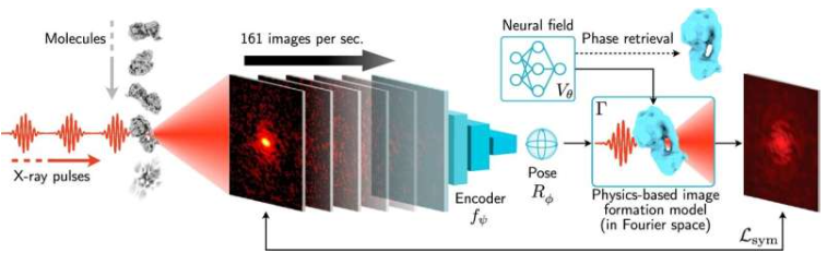 图示为XFEL SPI图像采集过程以及我们算法的后续在线处理。