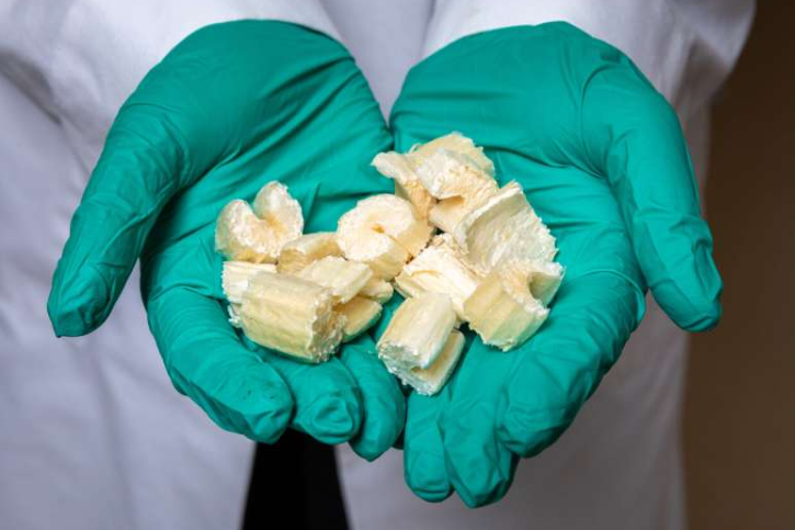 可用于3D打印生物墨水的干芹菜。