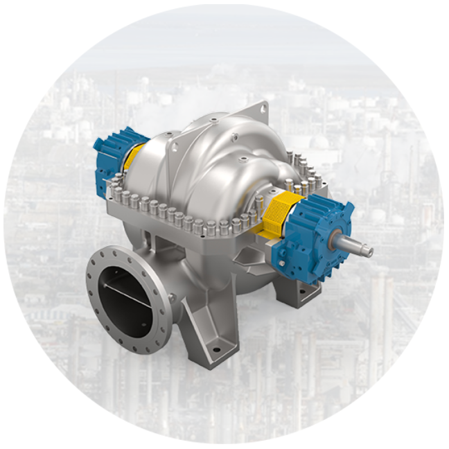 两端支撑轴承离心泵 BB1Type-DMS （2.5MPa）