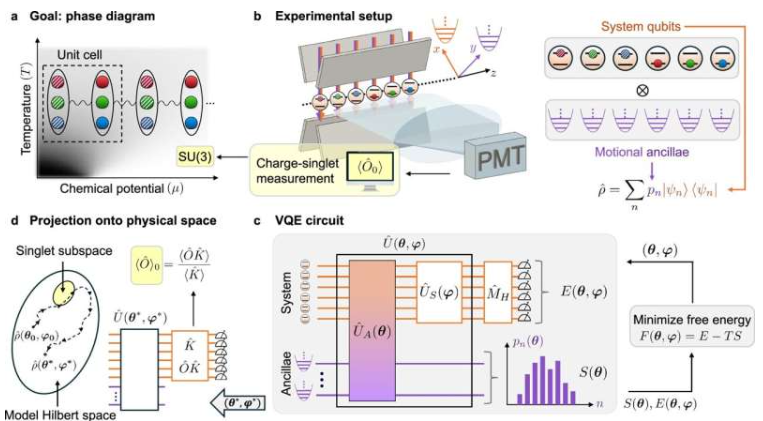 量子计算机上的粒子物理相图。