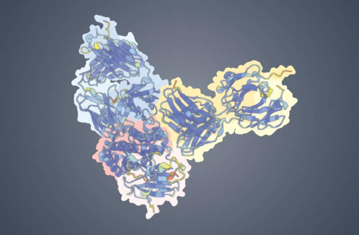 猴痘病毒表面蛋白(MPXV OPG153,粉色高亮显示)与两种中和抗体:08E11(蓝色高亮显示)和12I12(黄色高亮显示)的复合物结构。