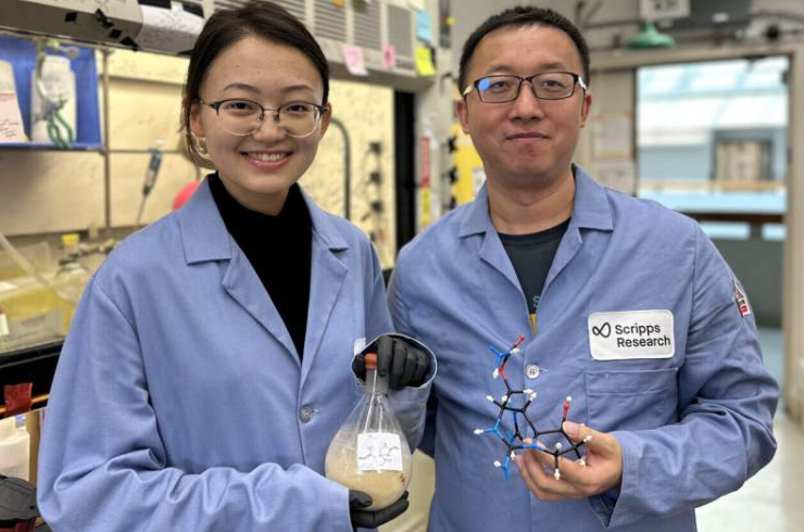 李怡恒(Anna)和郭银亮使用中间样本。