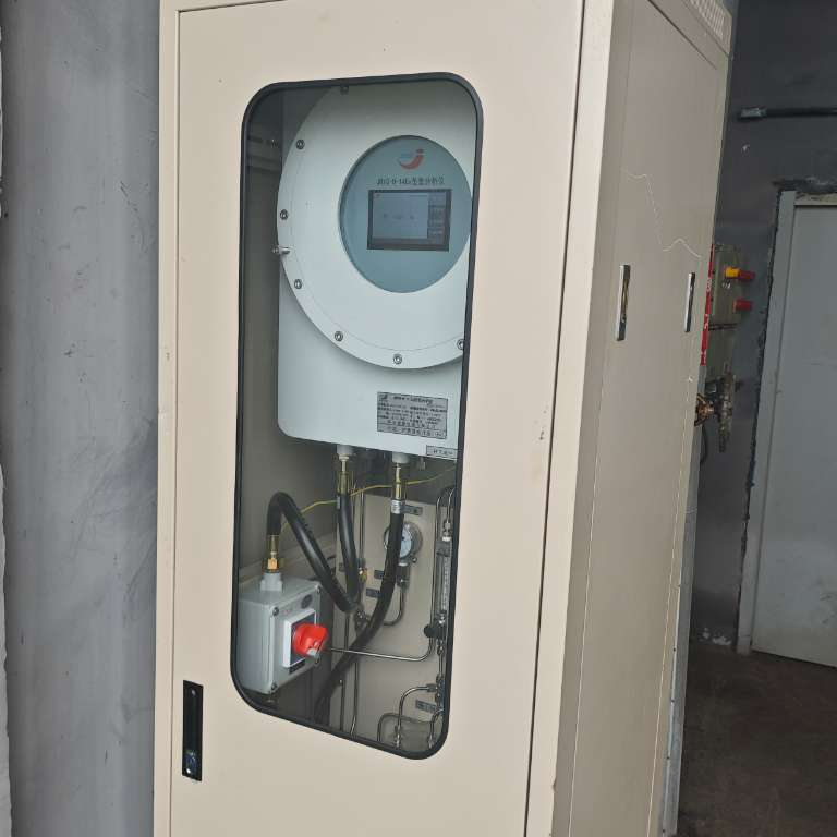 转炉煤气在线分析仪（CO  O2）