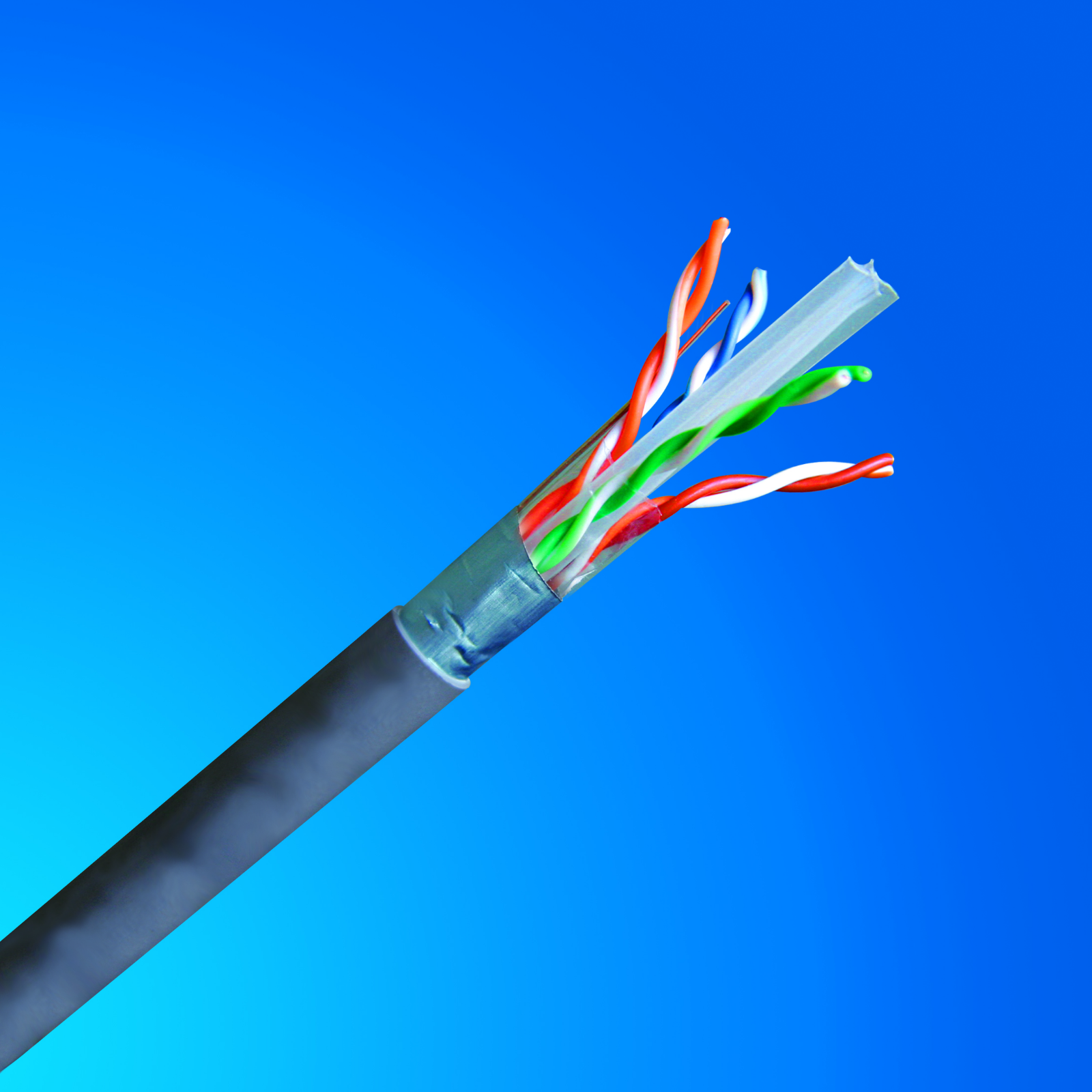 Cat6/ Cat 6a FTP LAN Cable