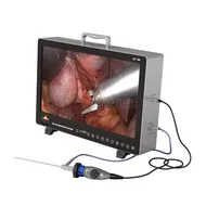 Sy-PS050 Monitor de vidrio HD para cámara de endoscopia médica en hospital todo en uno