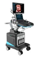 Dw-T50 4D Carro de máquina de Doppler de color Máquina de ultrasonido Ob&Gyn 4D