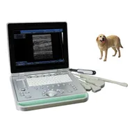 18.5 Escáner ultrasónico portátil de gran tamaño para humanos o veterinarios / Máquina de ultrasonido portátil para perros y caballos