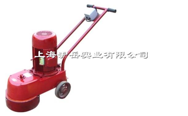 DMS250/DMS350水磨石机