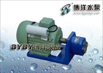 WCB、S型微型齿轮油泵