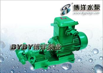 KCB、2CY型齿轮油泵（防爆型）