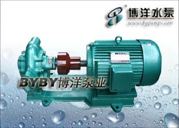 KCB、2CY型齿轮油泵(普通型)