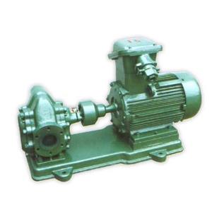 2CY型齿轮式润滑泵B