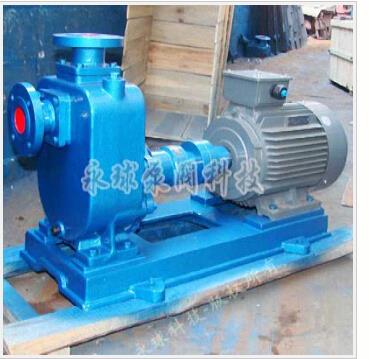 ZW型自吸式无堵塞排污水泵