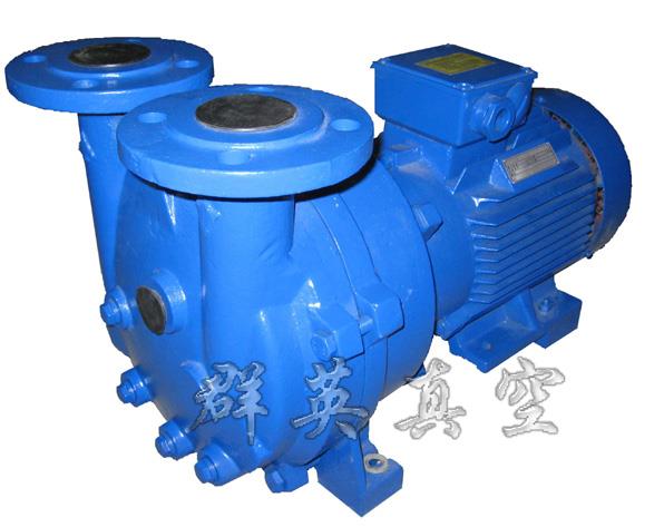 2BV5系列罗茨真空泵