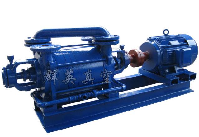 2SK系列水环式真空泵