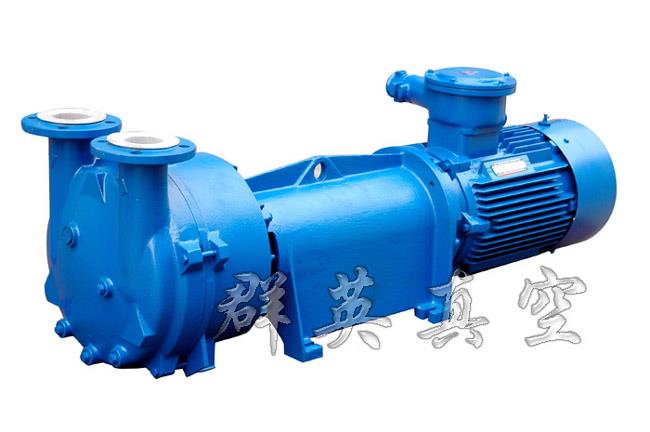 2BV6系列水环泵