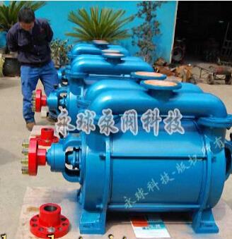 2SK型水环式真空泵