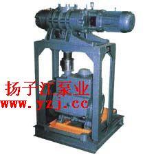 JZJX系列罗茨旋片机组