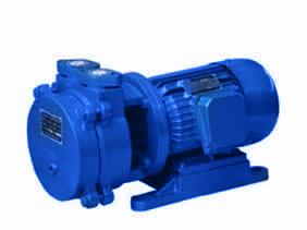 直联水环式真空泵