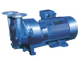 SKA型水环式真空泵