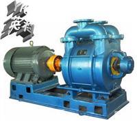 SK水环式真空泵