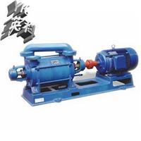 2SK型双级水环式真空泵