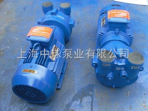 2BV水环式真空泵