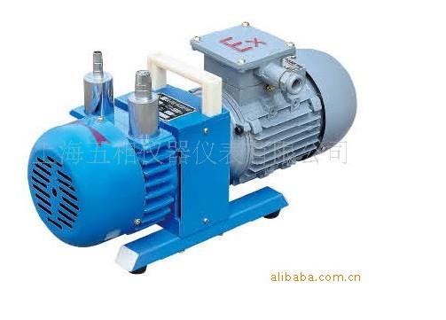 防爆真空泵WXF-2