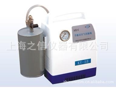 SX－Ⅳ型手提式吸引器