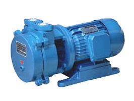 直联式水环式真空泵