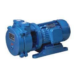 SK-0.15 直联水环式真空泵