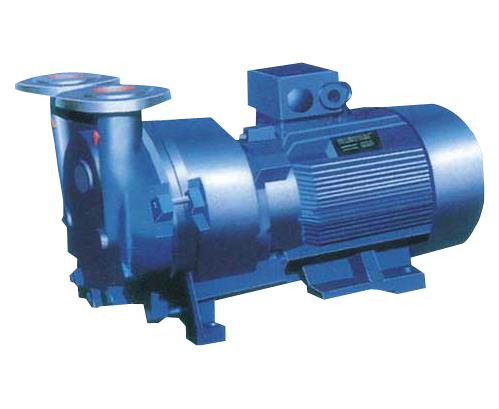 SKA系列水环式真空泵