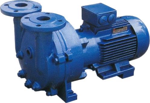 SKA(2BV)水环式真空泵