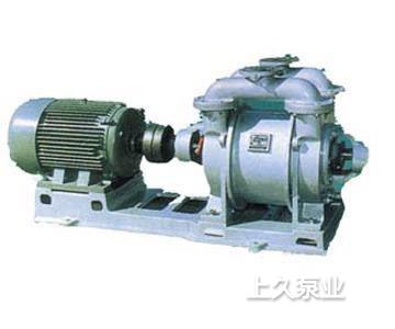 SK水环真空泵