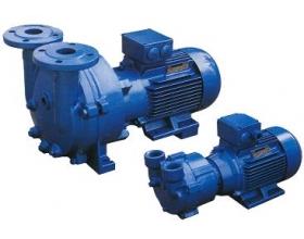 2BV水环式真空泵