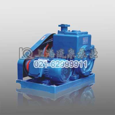 2X型双级旋片式真空泵