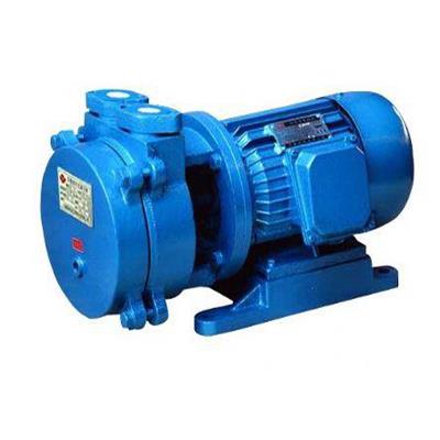 SK系列直联水环式真空泵