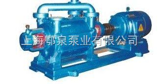 两级水环式真空泵